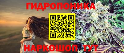 наркотики Шелехов